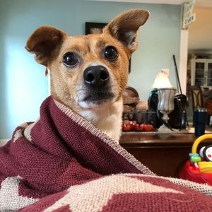 Meet your Posher, Traci